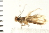  ( - 08BBLEP-02192)  @13 [ ] CreativeCommons - Attribution (2008) Unspecified Centre for Biodiversity Genomics