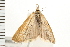  ( - 08BBLEP-00758)  @13 [ ] CreativeCommons - Attribution (2008) Unspecified Centre for Biodiversity Genomics
