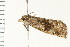  ( - PPBP-0602)  @12 [ ] CreativeCommons - Attribution (2008) Unspecified Centre for Biodiversity Genomics
