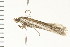  ( - PPBP-0622)  @13 [ ] CreativeCommons - Attribution (2008) Unspecified Centre for Biodiversity Genomics