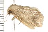  ( - PPBP-0677)  @13 [ ] CreativeCommons - Attribution (2008) Unspecified Centre for Biodiversity Genomics