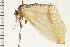  ( - PPBP-0683)  @12 [ ] CreativeCommons - Attribution (2008) Unspecified Centre for Biodiversity Genomics