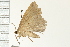  ( - PPBP-0734)  @12 [ ] CreativeCommons - Attribution (2008) Unspecified Centre for Biodiversity Genomics