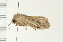  ( - PPBP-0741)  @13 [ ] CreativeCommons - Attribution (2008) Unspecified Centre for Biodiversity Genomics