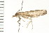  ( - PPBP-0764)  @12 [ ] CreativeCommons - Attribution (2008) Unspecified Centre for Biodiversity Genomics