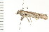  ( - PPBP-0775)  @13 [ ] CreativeCommons - Attribution (2008) Unspecified Centre for Biodiversity Genomics