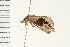  ( - PPBP-0834)  @12 [ ] CreativeCommons - Attribution (2008) Unspecified Centre for Biodiversity Genomics