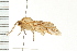  ( - PPBP-0852)  @12 [ ] CreativeCommons - Attribution (2008) Unspecified Centre for Biodiversity Genomics