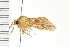  ( - PPBP-0853)  @12 [ ] CreativeCommons - Attribution (2008) Unspecified Centre for Biodiversity Genomics