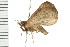  ( - PPBP-0891)  @12 [ ] CreativeCommons - Attribution (2008) Unspecified Centre for Biodiversity Genomics