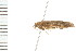  ( - PPBP-0942)  @12 [ ] CreativeCommons - Attribution (2008) Unspecified Centre for Biodiversity Genomics