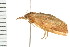  ( - PPBP-1000)  @12 [ ] CreativeCommons - Attribution (2008) Unspecified Centre for Biodiversity Genomics