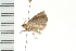  ( - PPBP-1026)  @12 [ ] CreativeCommons - Attribution (2008) Unspecified Centre for Biodiversity Genomics
