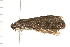  ( - PPBP-1266)  @12 [ ] CreativeCommons - Attribution (2008) Unspecified Centre for Biodiversity Genomics