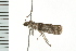  ( - PPBP-1288)  @12 [ ] CreativeCommons - Attribution (2008) Unspecified Centre for Biodiversity Genomics