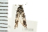  ( - PPBP-1356)  @13 [ ] CreativeCommons - Attribution (2008) Unspecified Centre for Biodiversity Genomics