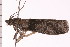  ( - PPBP-1494)  @13 [ ] CreativeCommons - Attribution (2008) Unspecified Centre for Biodiversity Genomics