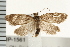  ( - PPBP-1561)  @13 [ ] CreativeCommons - Attribution (2008) Unspecified Centre for Biodiversity Genomics