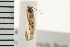  ( - PPBP-1614)  @12 [ ] CreativeCommons - Attribution (2008) Unspecified Centre for Biodiversity Genomics