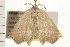 ( - PPBP-1823)  @13 [ ] CreativeCommons - Attribution (2008) Unspecified Centre for Biodiversity Genomics