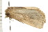  ( - PPBP-1836)  @13 [ ] CreativeCommons - Attribution (2008) Unspecified Centre for Biodiversity Genomics