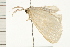  ( - PPBP-1843)  @14 [ ] CreativeCommons - Attribution (2008) Unspecified Centre for Biodiversity Genomics