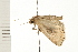  ( - PPBP-1851)  @13 [ ] CreativeCommons - Attribution (2008) Unspecified Centre for Biodiversity Genomics