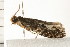  ( - PPBP-1886)  @13 [ ] CreativeCommons - Attribution (2008) Unspecified Centre for Biodiversity Genomics