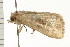  ( - PPBP-2194)  @13 [ ] CreativeCommons - Attribution (2008) Unspecified Centre for Biodiversity Genomics