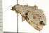  ( - PPBP-2198)  @12 [ ] CreativeCommons - Attribution (2008) Unspecified Centre for Biodiversity Genomics