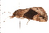  ( - PPBP-2374)  @12 [ ] CreativeCommons - Attribution (2008) Unspecified Centre for Biodiversity Genomics