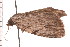  ( - PPBP-2401)  @14 [ ] CreativeCommons - Attribution (2008) Unspecified Centre for Biodiversity Genomics