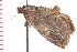  ( - PPBP-2442)  @12 [ ] CreativeCommons - Attribution (2008) Unspecified Centre for Biodiversity Genomics