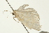  ( - 08BBLEP-00216)  @14 [ ] CreativeCommons - Attribution (2009) Unspecified Centre for Biodiversity Genomics