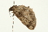  ( - 08BBLEP-00231)  @13 [ ] CreativeCommons - Attribution (2009) Unspecified Centre for Biodiversity Genomics