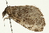  ( - 08BBLEP-00271)  @12 [ ] CreativeCommons - Attribution (2009) Unspecified Centre for Biodiversity Genomics