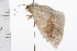  ( - 08BBLEP-00047)  @12 [ ] CreativeCommons - Attribution (2009) Unspecified Centre for Biodiversity Genomics