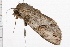  ( - 08BBLEP-00100)  @12 [ ] CreativeCommons - Attribution (2009) Unspecified Centre for Biodiversity Genomics