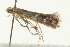  ( - 08BBLEP-00321)  @12 [ ] CreativeCommons - Attribution (2009) Unspecified Centre for Biodiversity Genomics