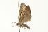  ( - 08BBLEP-00396)  @13 [ ] CreativeCommons - Attribution (2009) Unspecified Centre for Biodiversity Genomics