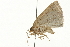  ( - 08BBLEP-00479)  @12 [ ] CreativeCommons - Attribution (2009) Unspecified Centre for Biodiversity Genomics