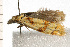  ( - 08BBLEP-04001)  @12 [ ] CreativeCommons - Attribution (2009) Unspecified Centre for Biodiversity Genomics
