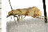  ( - 08BBLEP-04012)  @12 [ ] CreativeCommons - Attribution (2009) Unspecified Centre for Biodiversity Genomics