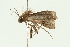  ( - 08MZPP-158)  @12 [ ] CreativeCommons - Attribution (2009) Unspecified Centre for Biodiversity Genomics
