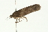  ( - 08BBLEP-00110)  @12 [ ] CreativeCommons - Attribution (2009) Unspecified Centre for Biodiversity Genomics