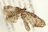  ( - 08BBLEP-00129)  @12 [ ] CreativeCommons - Attribution (2009) Unspecified Centre for Biodiversity Genomics