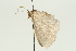  ( - 08BBLEP-00136)  @12 [ ] CreativeCommons - Attribution (2009) Unspecified Centre for Biodiversity Genomics