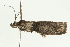  ( - 08BBLEP-00142)  @12 [ ] CreativeCommons - Attribution (2009) Unspecified Centre for Biodiversity Genomics