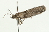  ( - 08BBLEP-00148)  @12 [ ] CreativeCommons - Attribution (2009) Unspecified Centre for Biodiversity Genomics
