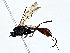  ( - BIOUG79407-F07)  @11 [ ] CreativeCommons - Attribution (2022) CBG Photography Group Centre for Biodiversity Genomics